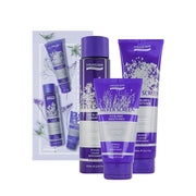 Natural Look Silver Screen Ice Blonde Shampoo + Conditioner + Smooth Ends Pack